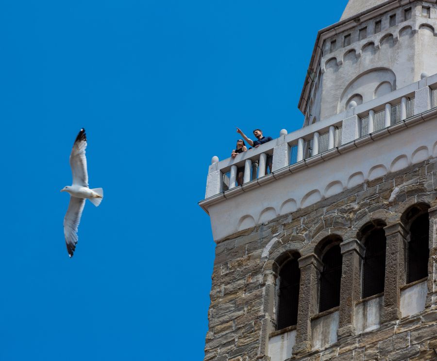 Sul campanile per una vista mozzafiato